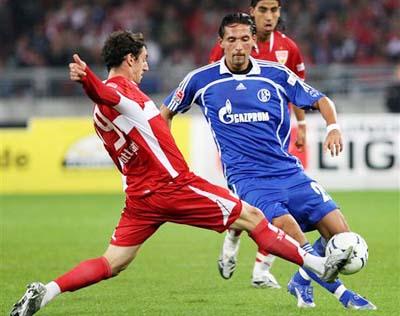 不仅归功于 不仅归功于